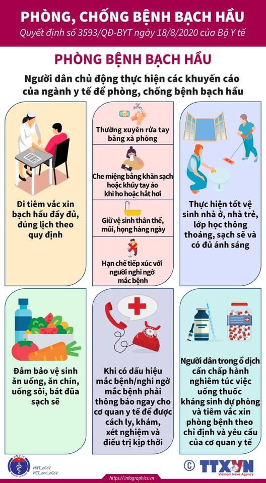 Infographic phòng chống bệnh bạch hầu của Bộ Y tế